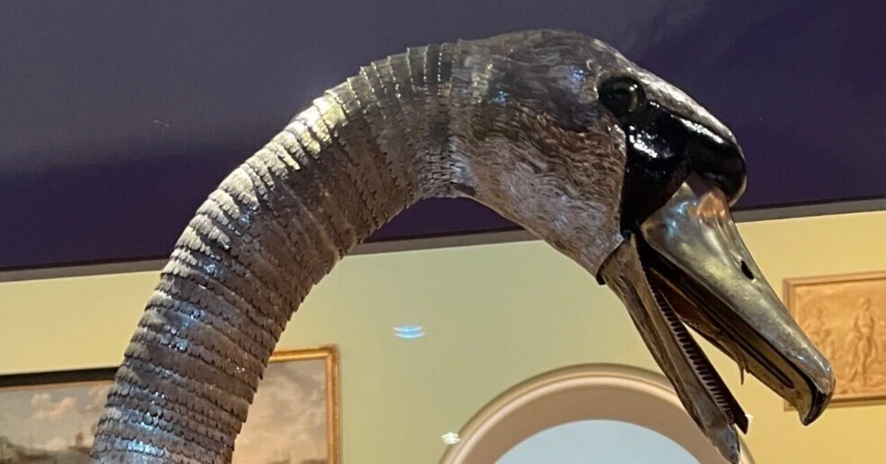 250年前に作られた13キロの銀シルバーを使った白鳥｜海南_古い家_