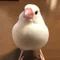 のんたろう