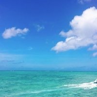 喝采と共に新年を ミュージカル刀剣乱舞 壽乱舞音曲祭を浴びて ライブ配信と現場 U U C Note