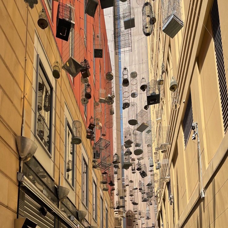 オーストラリアで悪徳ファームと戦う話 少額訴訟編①｜pizza_pipipi