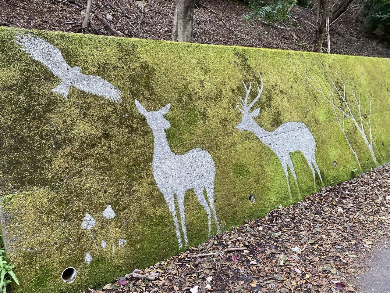 実際に行ってみたツーリングスポット 苔アート 鹿の群れ｜かぜなび