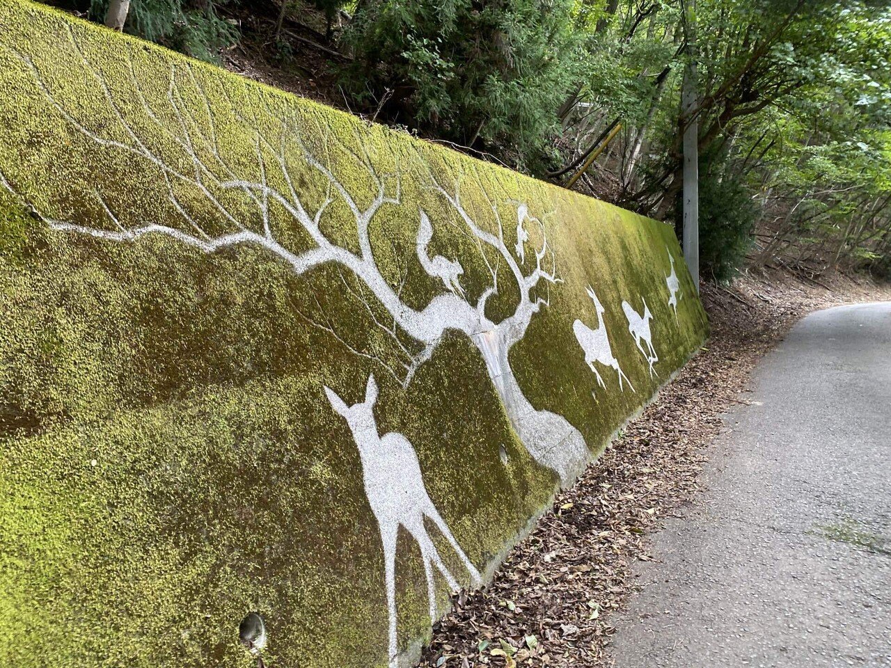 実際に行ってみたツーリングスポット 苔アート 鹿の群れ｜かぜなび