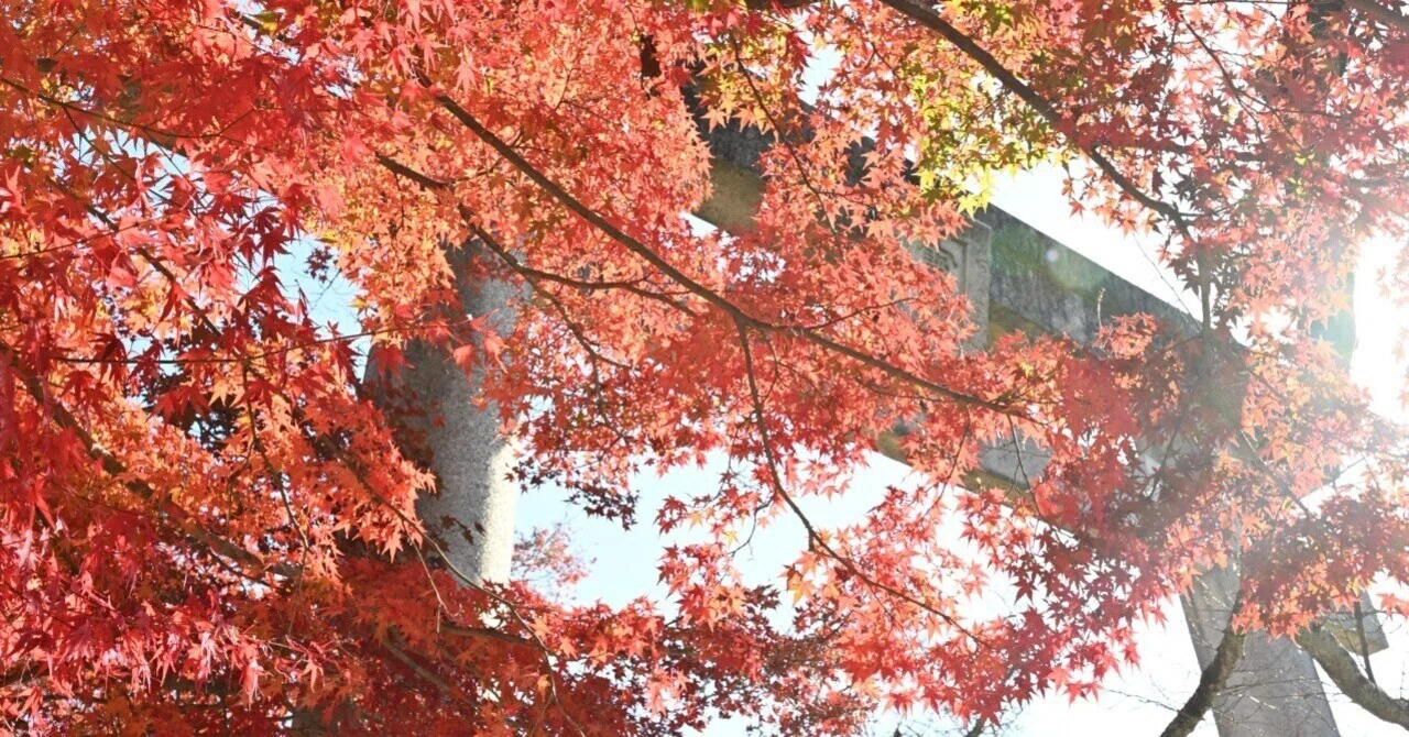 竈門神社～紅葉🍁｜sama sama