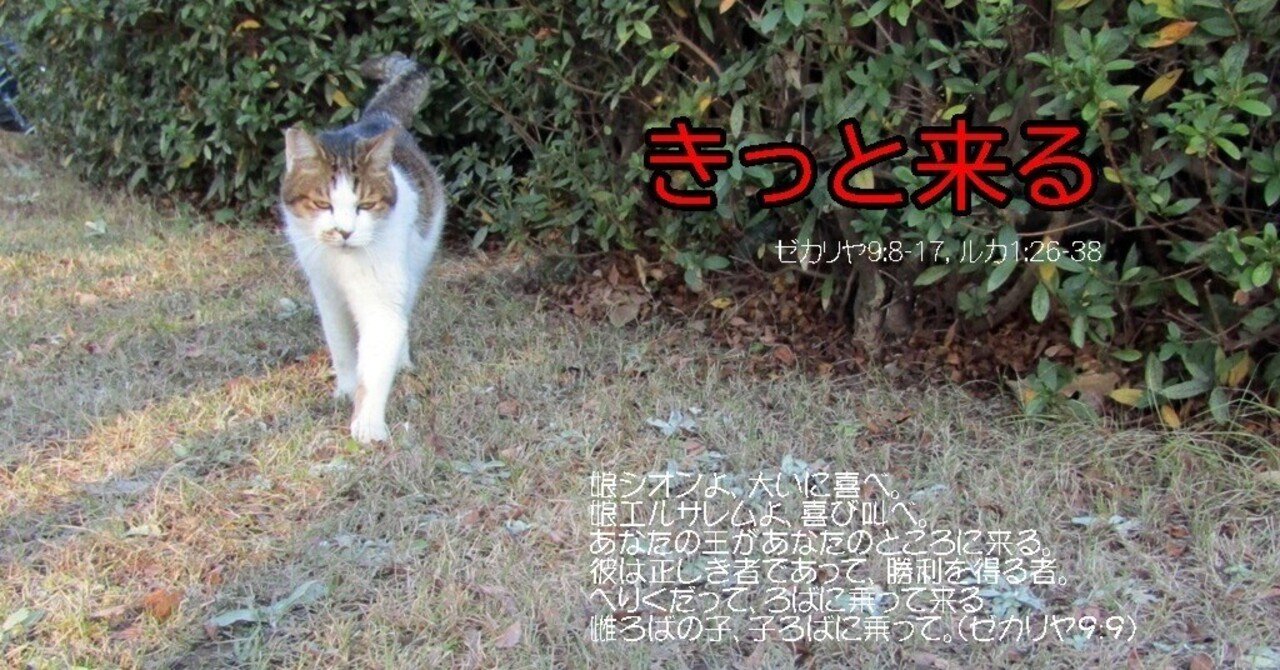 こうして、イスラエルはみな救われる — Chris Michael Moore, image size:1280x670