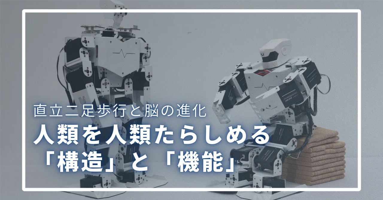 直立二足歩行と脳の進化。人類を人類たらしめる「構造」と「機能」｜宮城島大樹＠日本で最もトレーナーを育成してるトレーナー