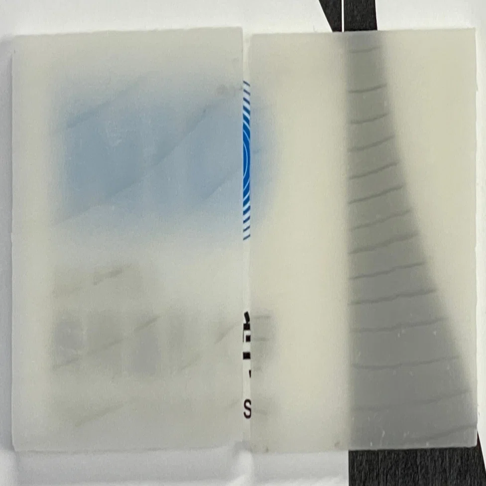 木材を透明にして社会実装する！？／Making Wood Transparent — and