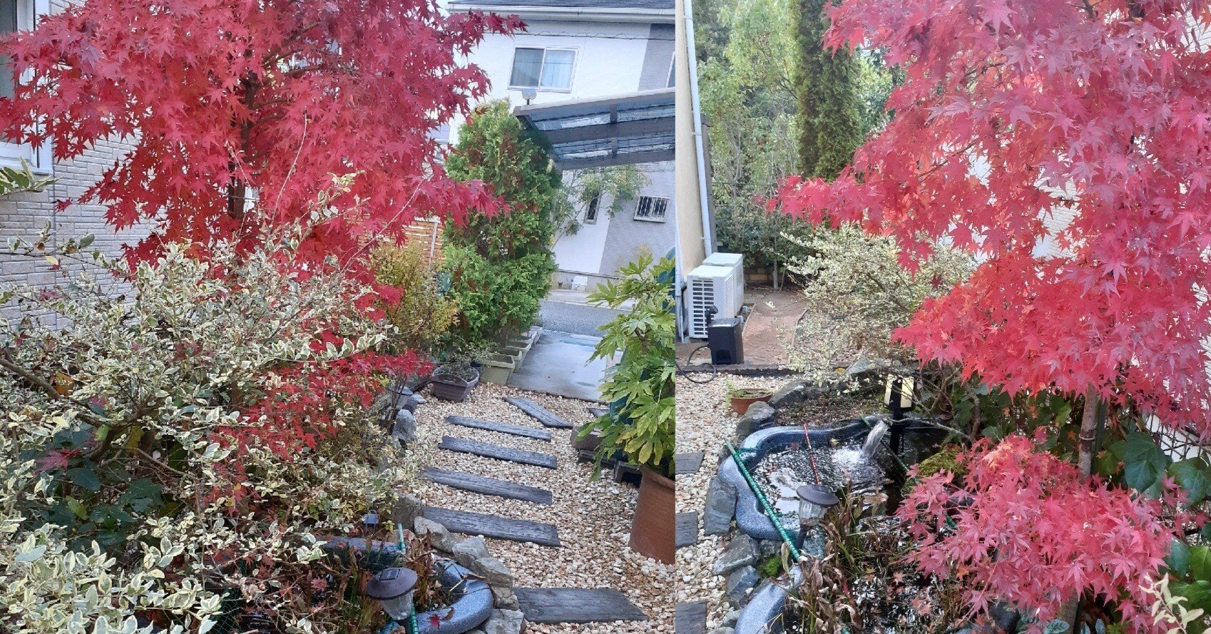 ふぅちゃん｜かこ