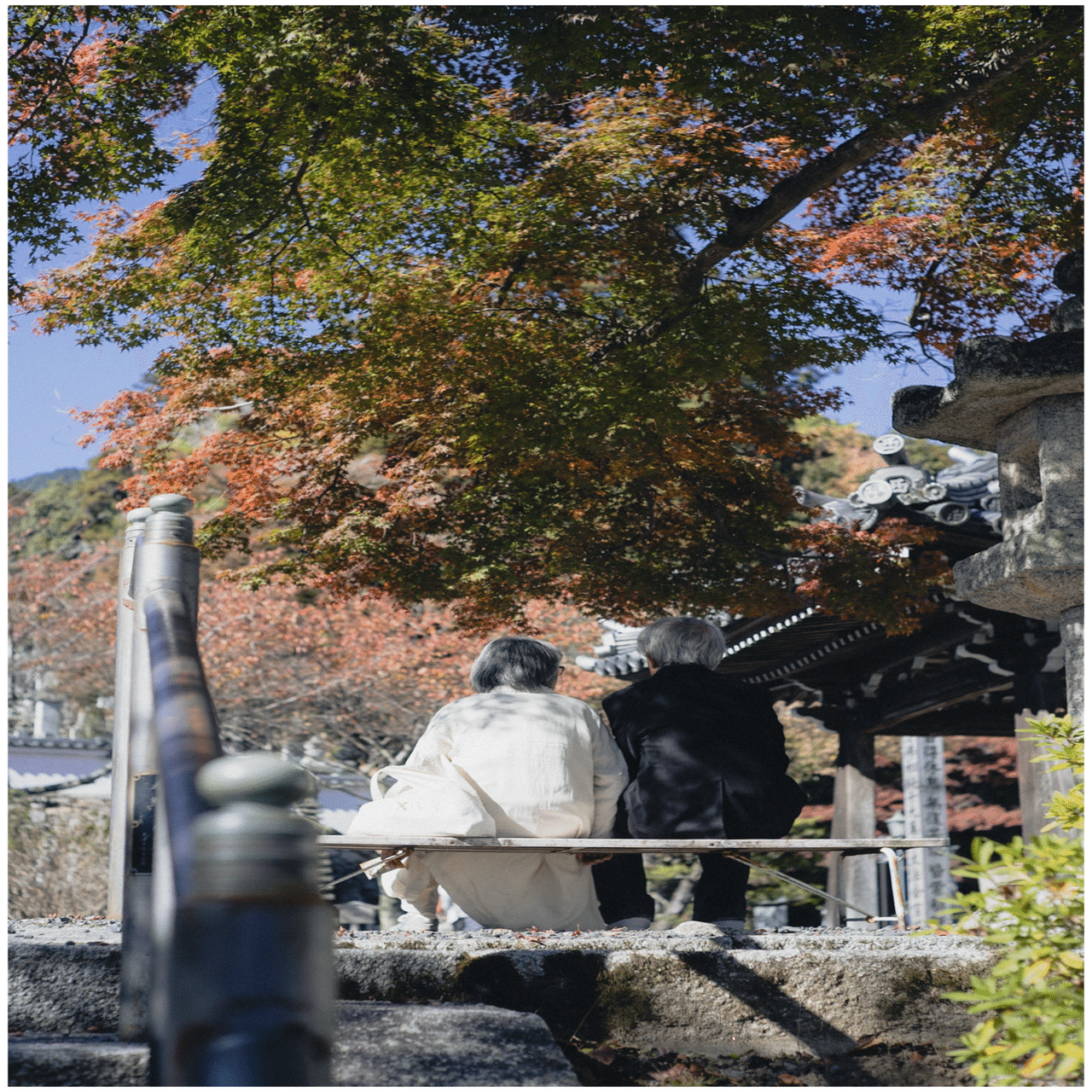 滋賀県 西教寺の紅葉｜Jun Watanabe