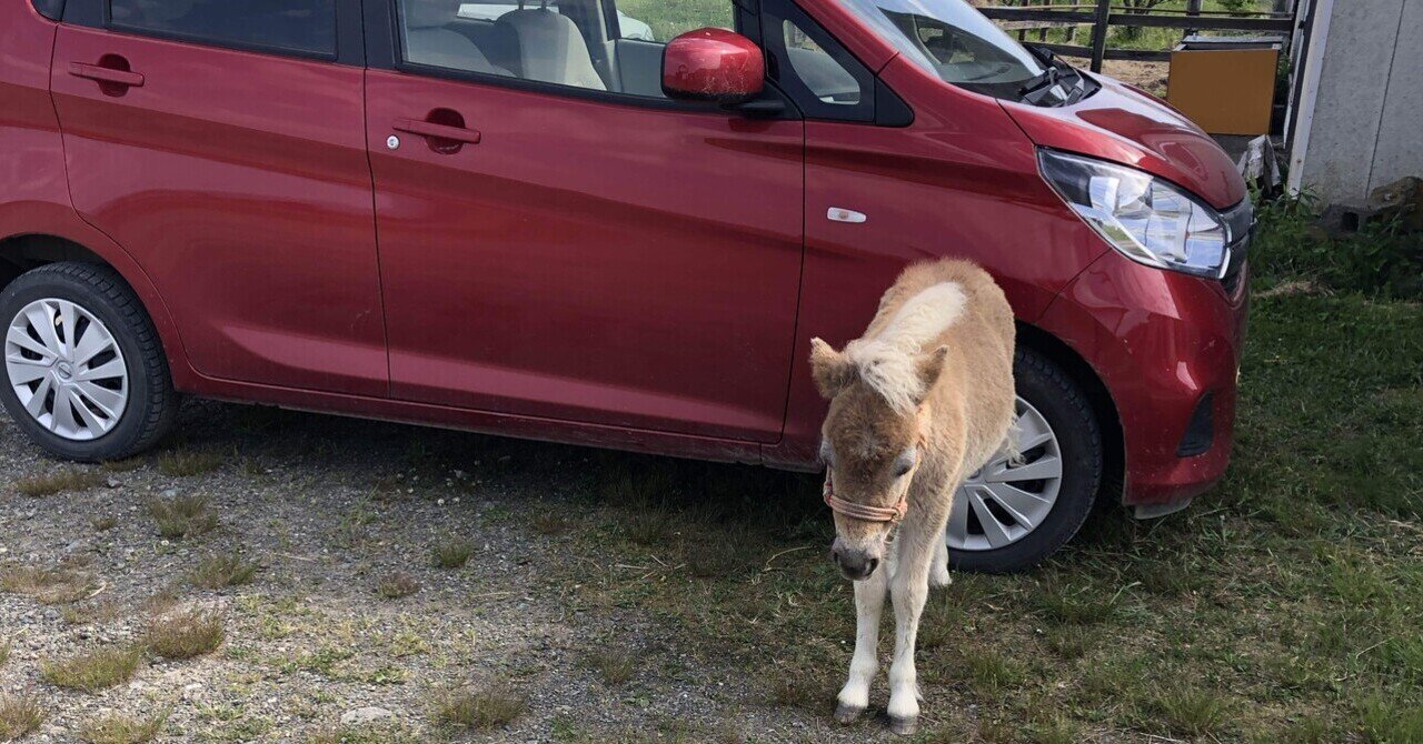 北海道へ移住に必要なこと? eyecatch