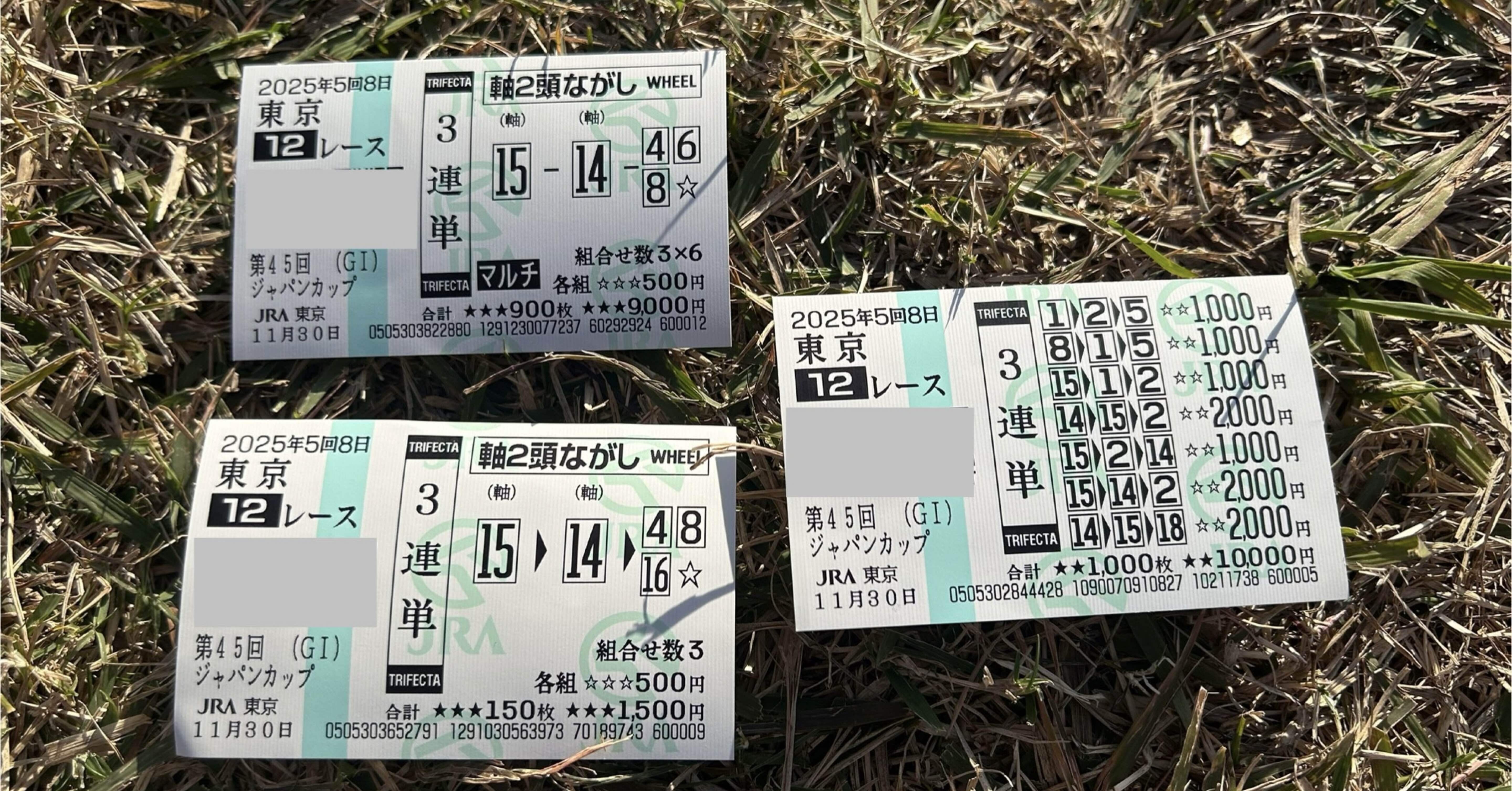 現地ジャパンカップ馬券｜馬っち馬トーク
