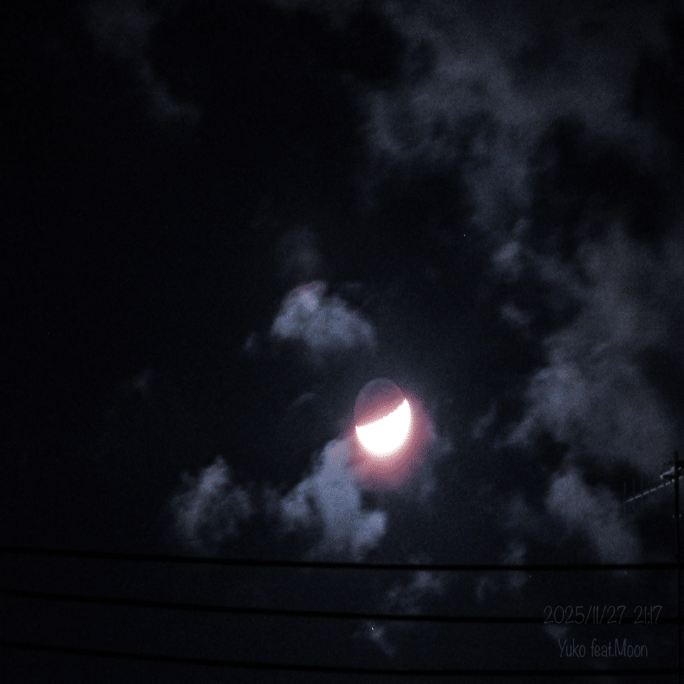 月夜 月に想いを No.18｜Yuko feat.Moon