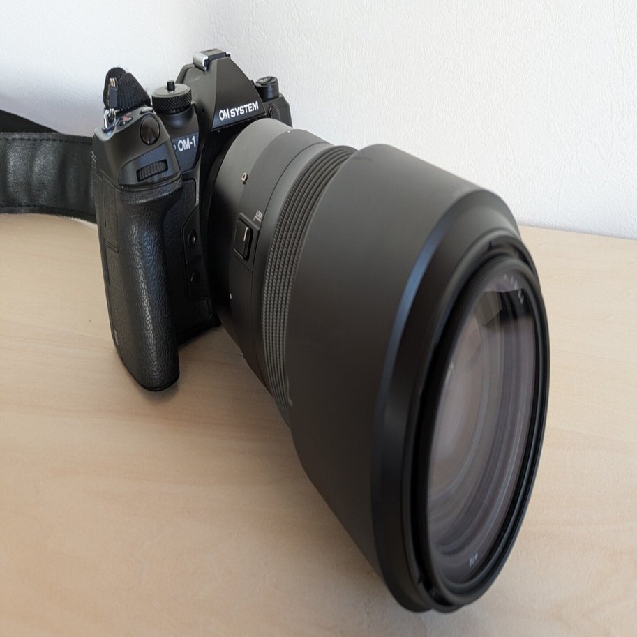OM SYSTEM OM-1MkⅡの丈夫さを知った話｜すなみけい