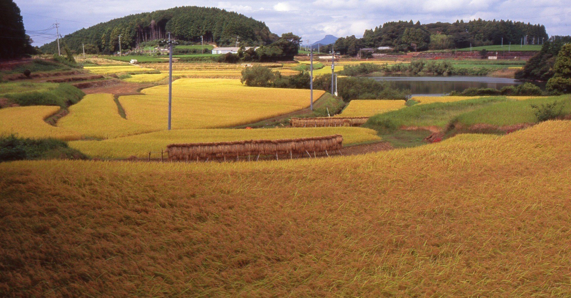 風景 最高のカラーバランスと超高解像を実現した、究極のPLフィルターが