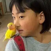 リノのインコかんさつにっき