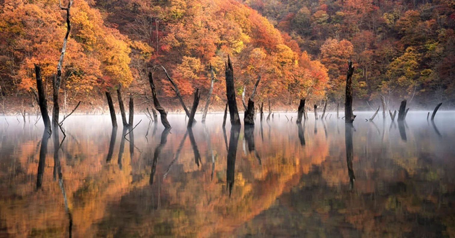 風景に特化した国際フォトコンテスト ILPOTY 2025にてTOP201に選出され