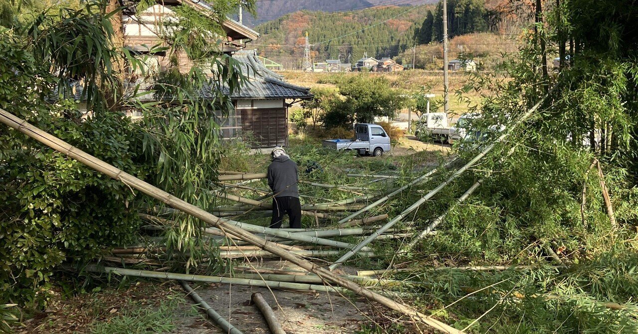 竹林整備の現場に同行して分かったこと｜コテツ