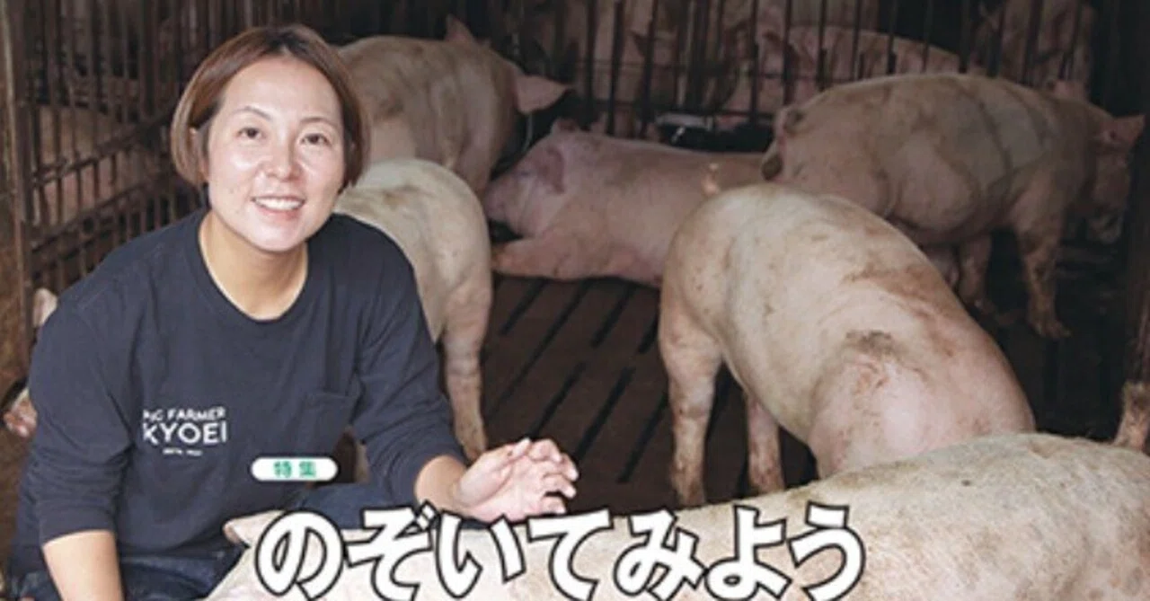 雑誌「養豚界」今年ラストの2025年12月カレンダー｜野猿（やえん）