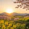 西陽景春 Kageharu NISHIBI