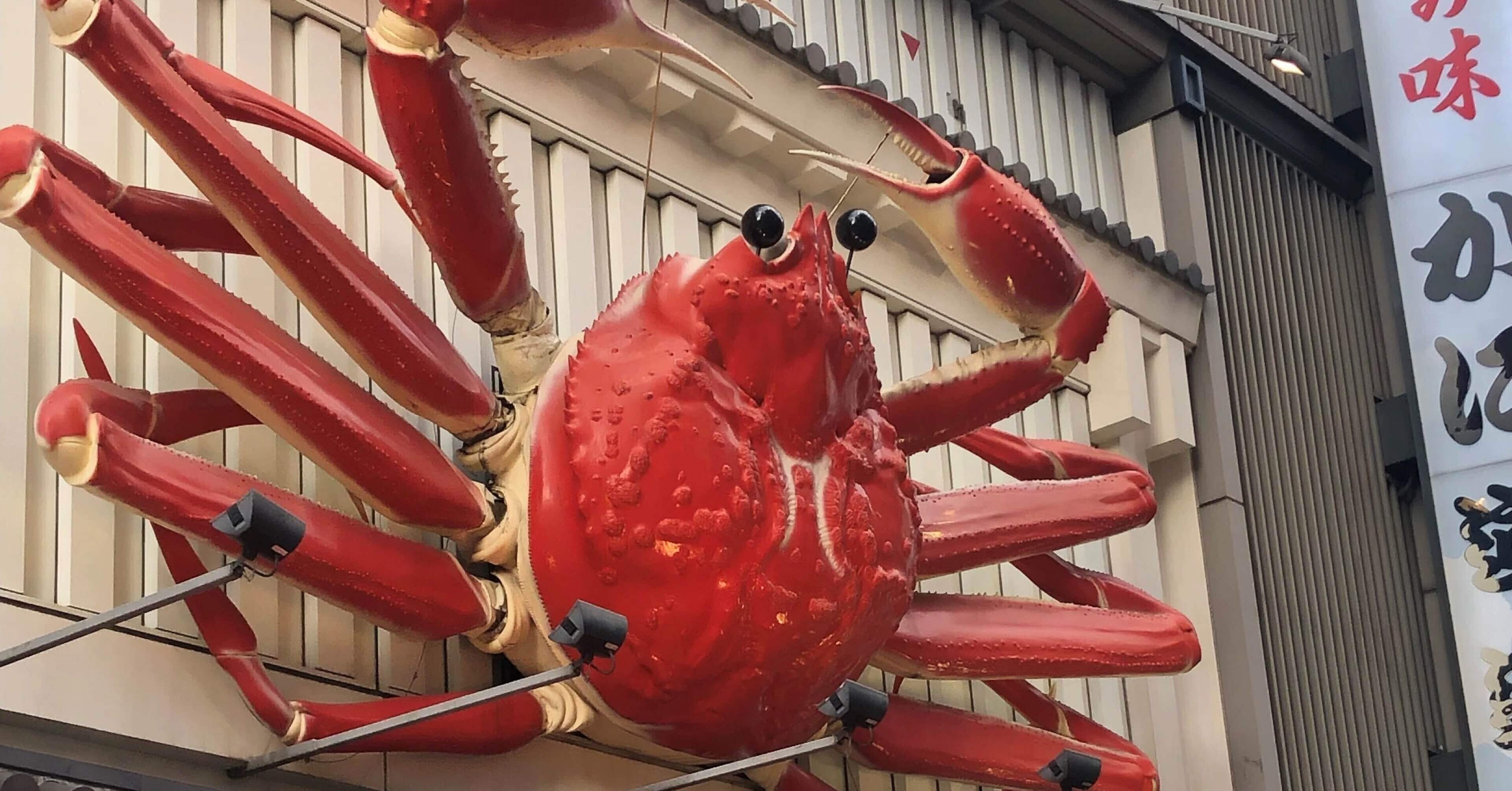 11月のラストはカニで締める（日記エッセイ 11/28〜11/30）｜あさひ