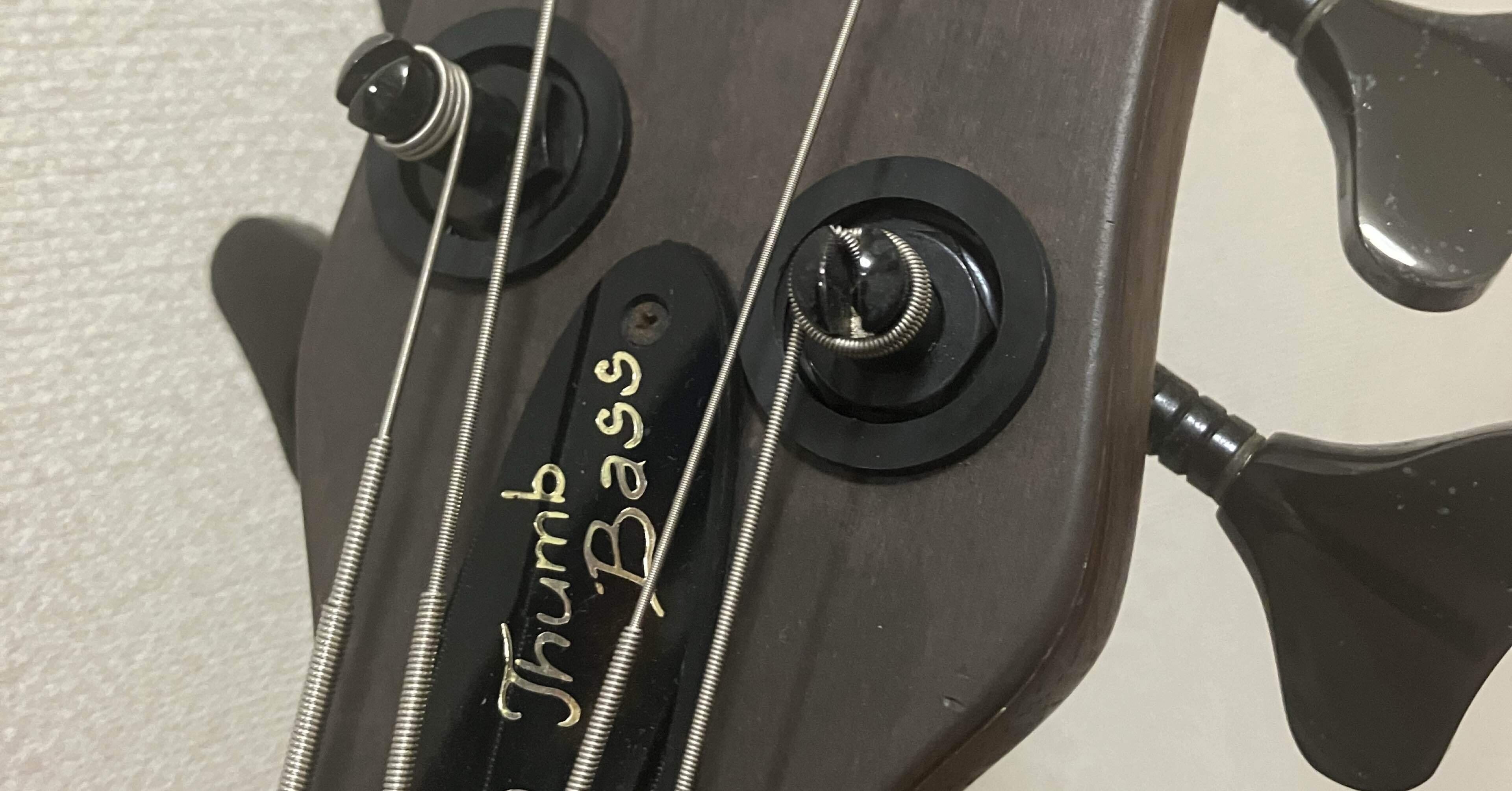 念願のWarwick Thumb BASS｜Mede luxe （メデリュクス）