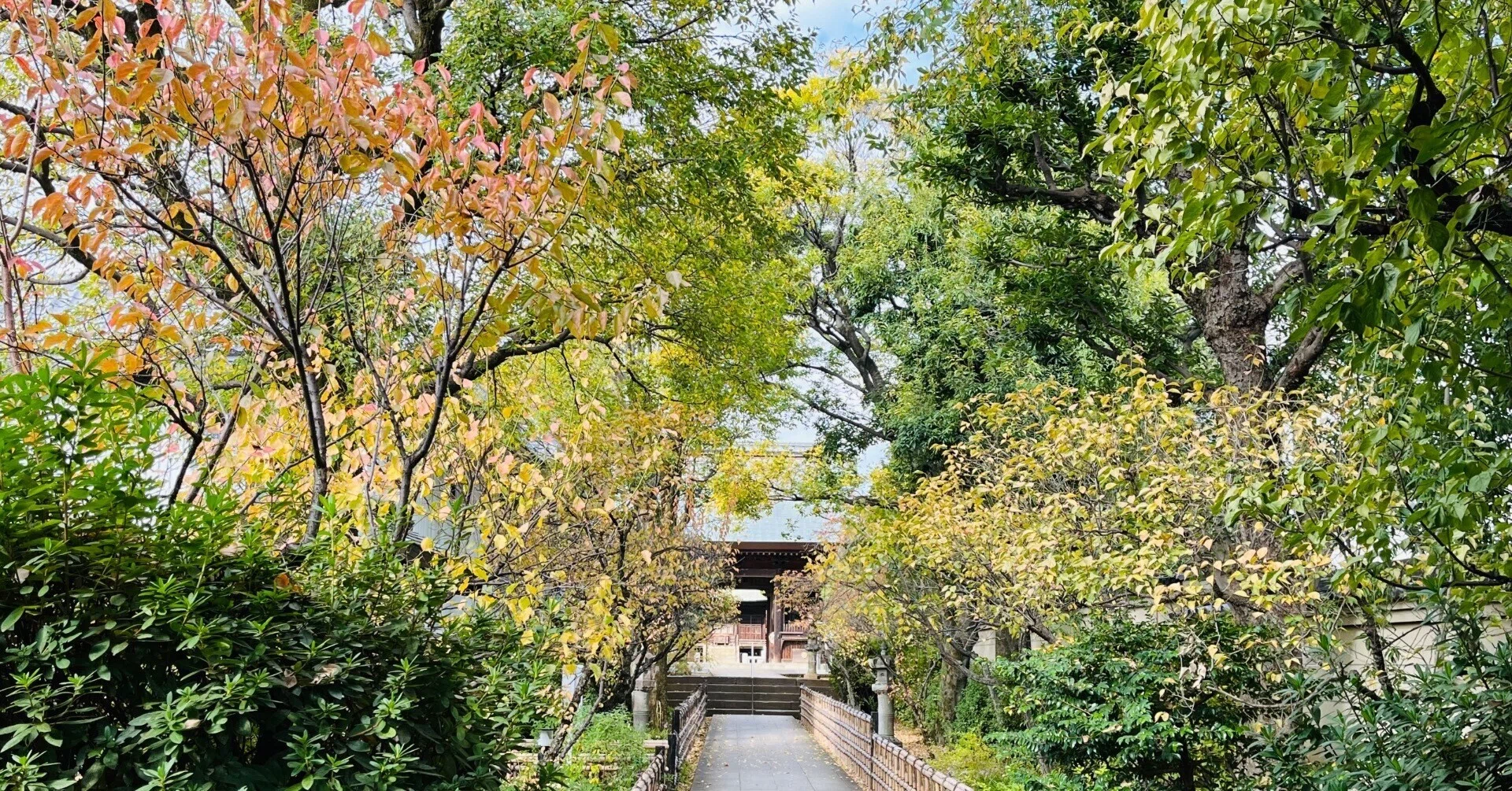 東京寫眞帖 : 円融寺（西小山）｜紺珠