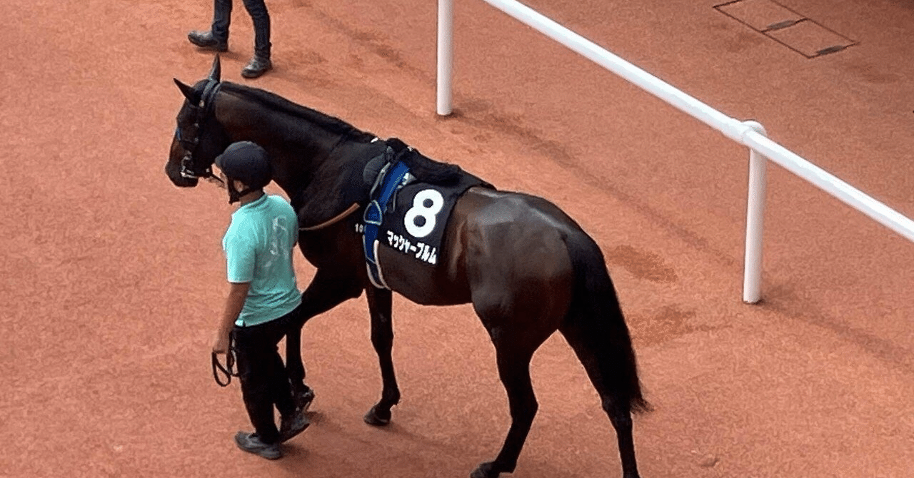 競馬 資金 配分 ツール (99) 사진