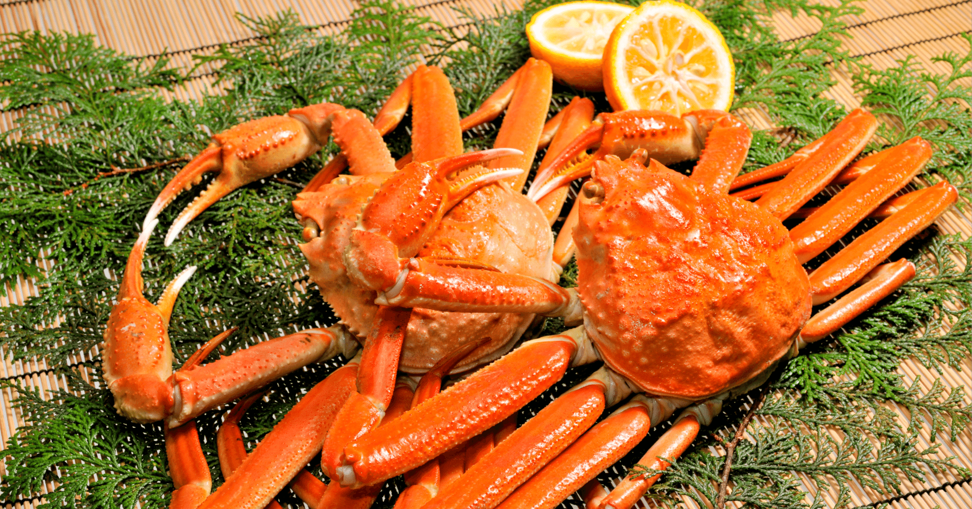 123】 カニパン コレクション｜佐藤聡