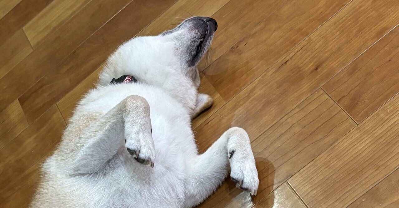 過去形が丁寧な意味になるのはなぜ⁇ - Could you pass me the salt?｜Sponta