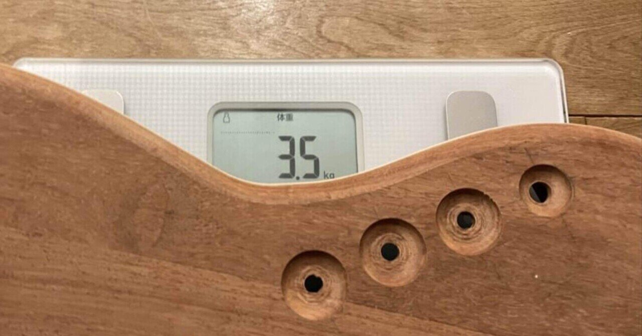 ジャンクギター遊び】Legend LJB-X mod.（続 安ベースはハイエンドの夢