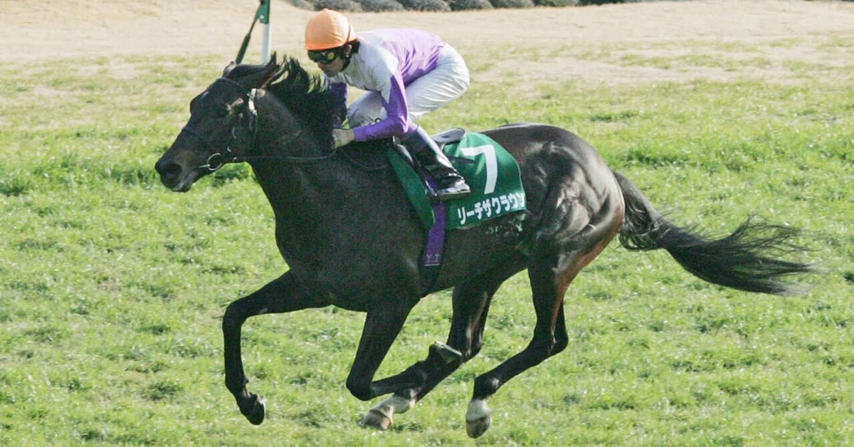 [AI Horse Racing Prediction] JRA Edition: Super Longshot + Strong ...