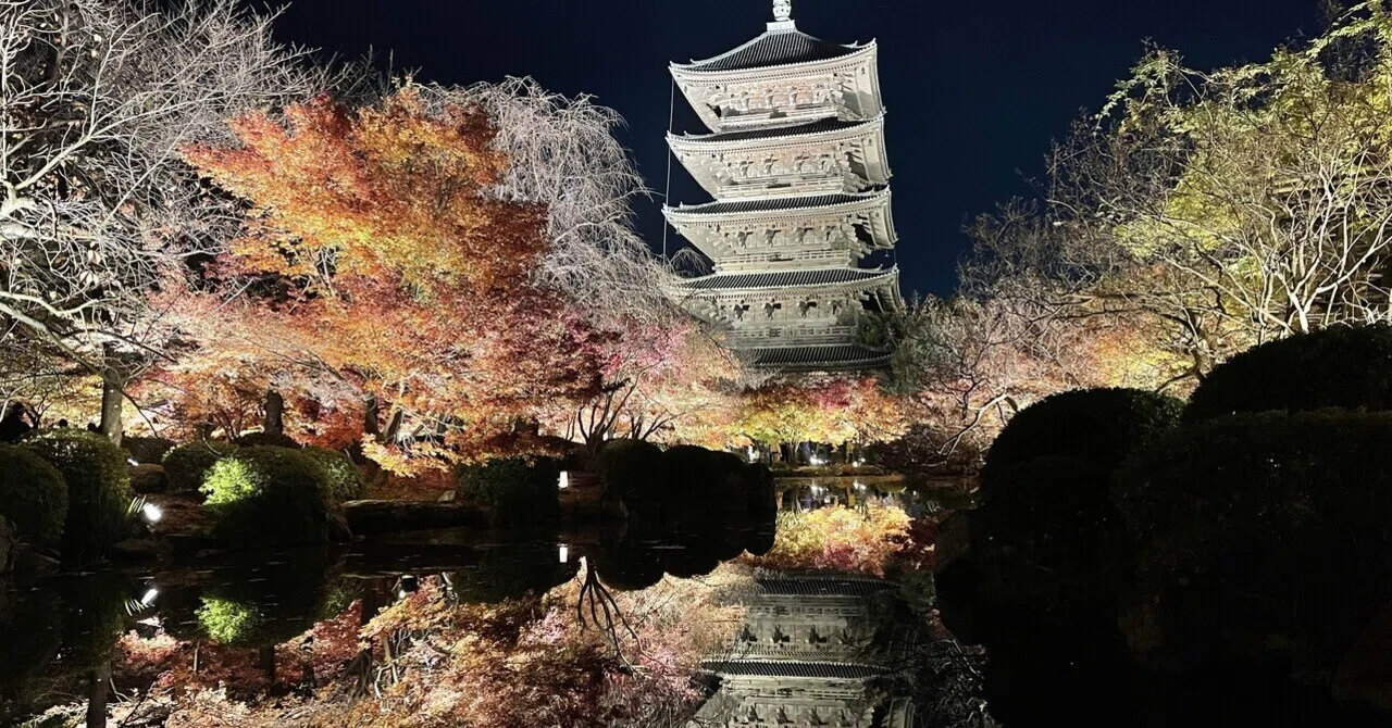 東寺ライトアップ 2025年ver｜リンク