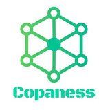 コーチングスクール　Copaness