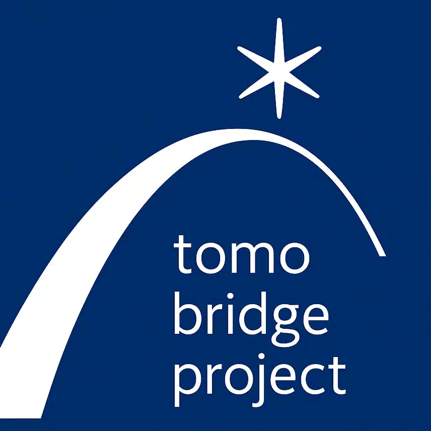 tomo_bridge_project