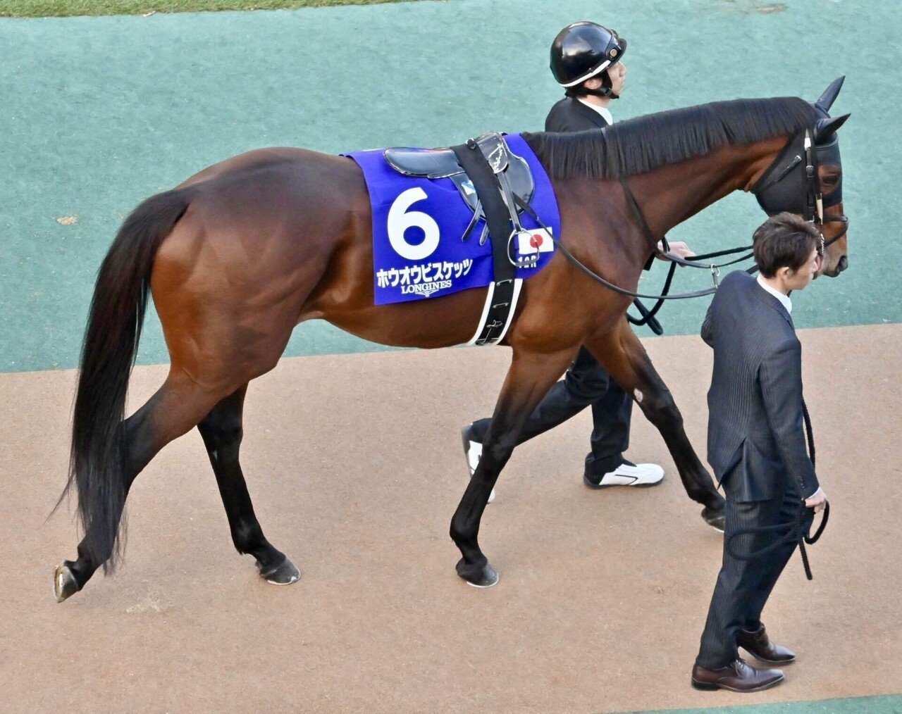 馬券でレンズ購入チャレンジ#48】 2025/11/30 ジャパンカップ｜TODA