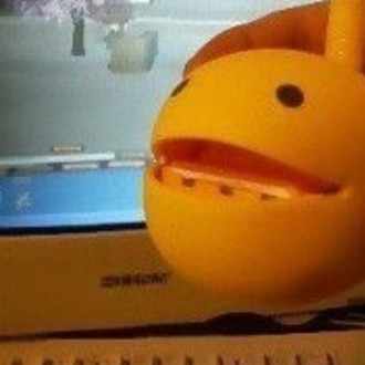 ふぇのま