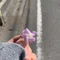 firm_broom7998