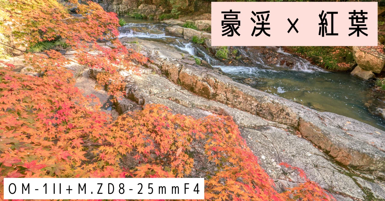 豪渓の紅葉を撮ってきた│OM SYSTEM｜もみじ卍ゅう