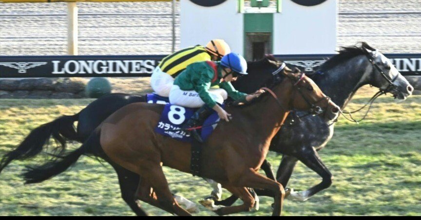 競馬サイン】地上波ドラマ📺️ロイヤルファミリー🏇関連続出の結果