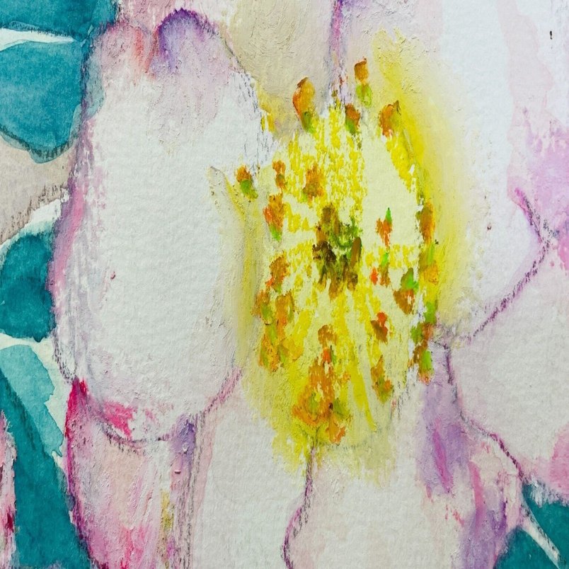 油絵 油彩 絵画 花 山茶花 サザンカ サザンカ - 瀧早苗アートギャラリー | 花の水彩画・油彩画販売 | IFA