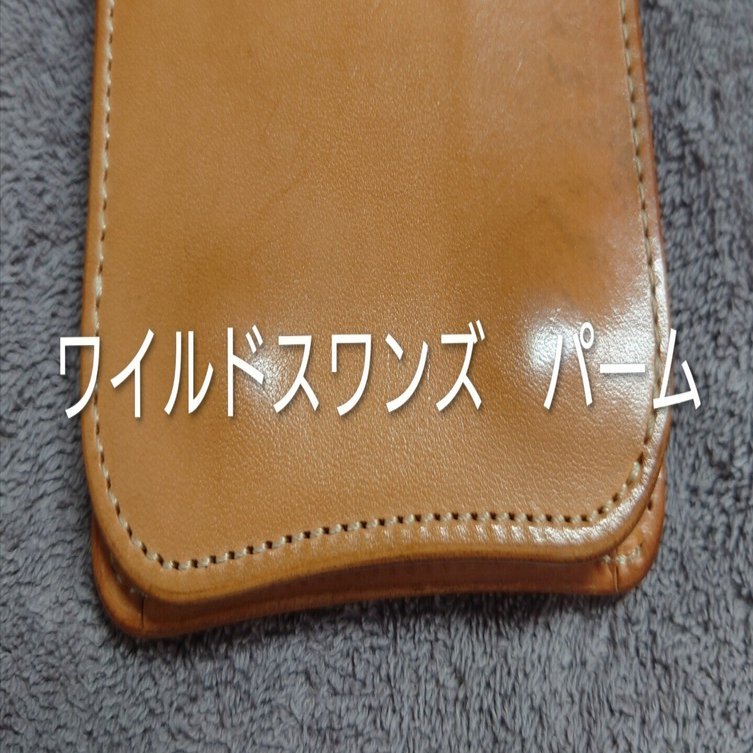 ワイルドスワンズ パーム 見つけました｜コウのつぶやき