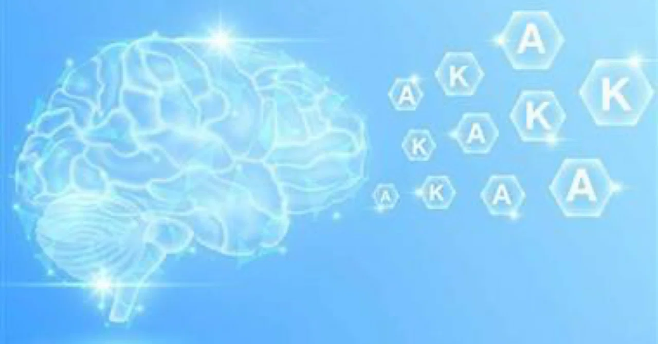 最新｜ビタミンKとAは脳の健康を助ける