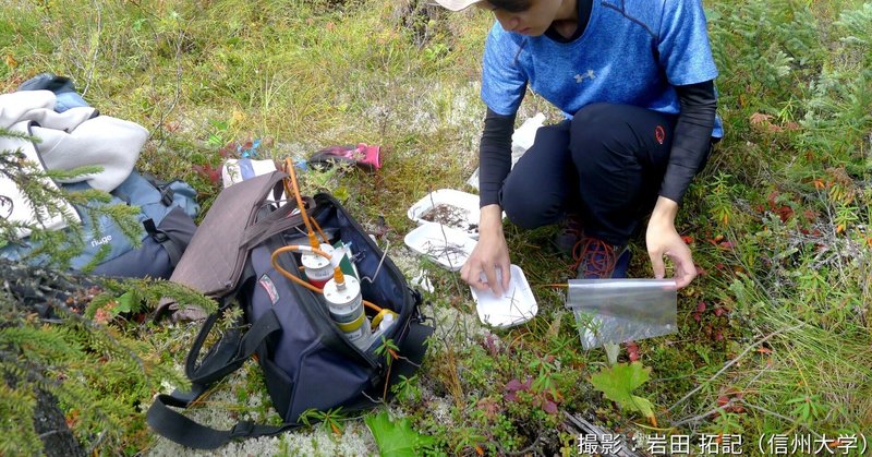 若手人材海外派遣プログラム2025③