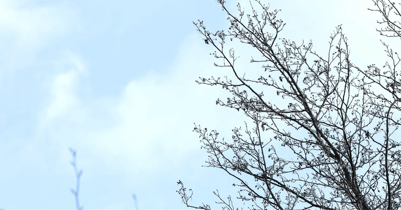 白む空に 【詩】｜袋小路ワタル