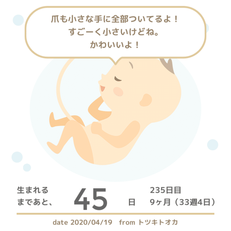 妊娠後期 33w4d 食欲止まらない Aya Note