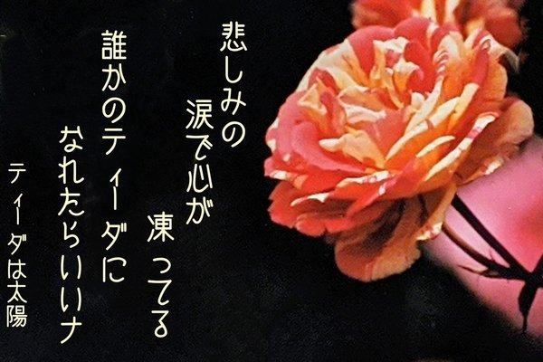 ティーダ の新着タグ記事一覧 Note つくる つながる とどける