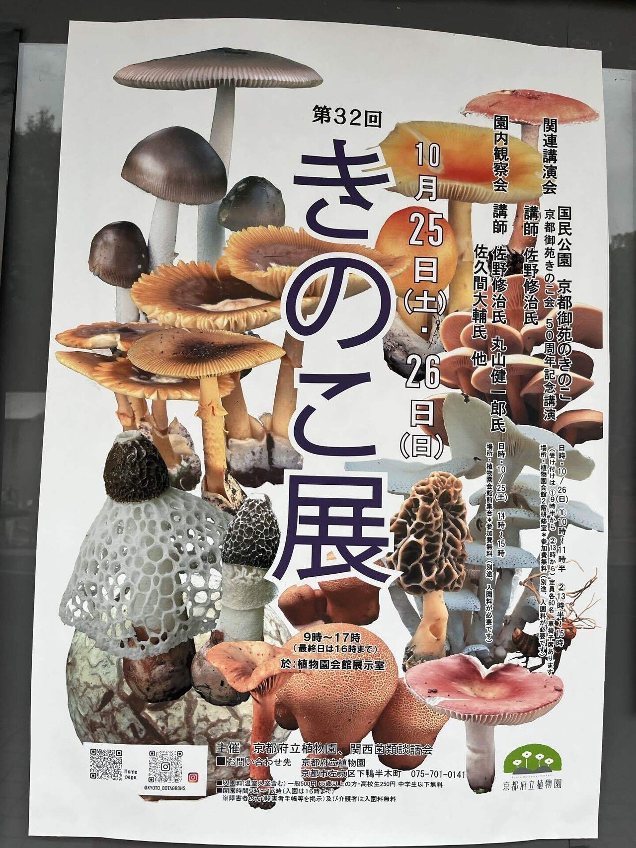 きのこ(おまとめ割実施中)　おまとめ 10/25-26 きのこ展@京都府立植物園｜くもさん