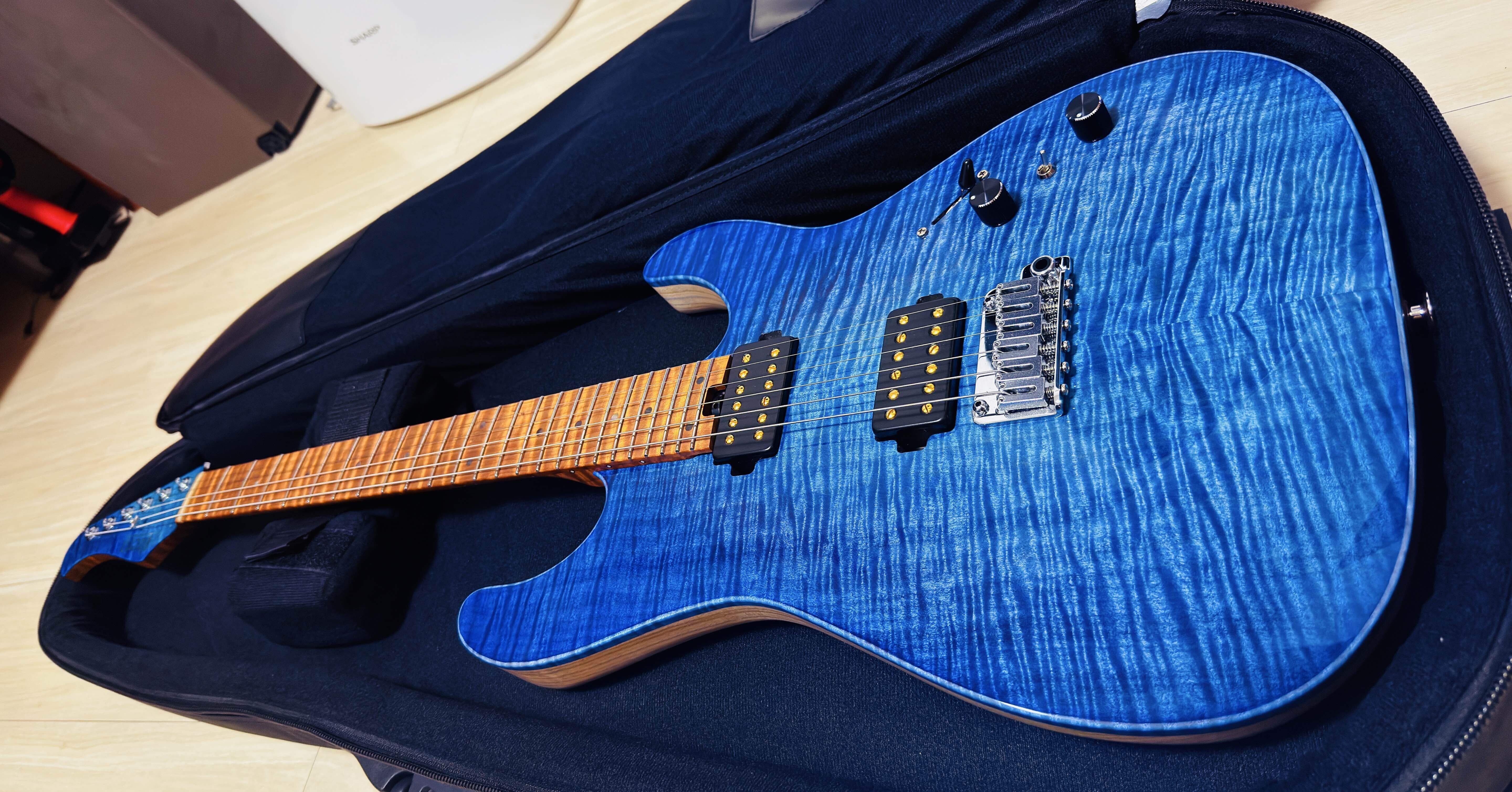 Altero Custom Guitars / Astra Custom 6｜吃