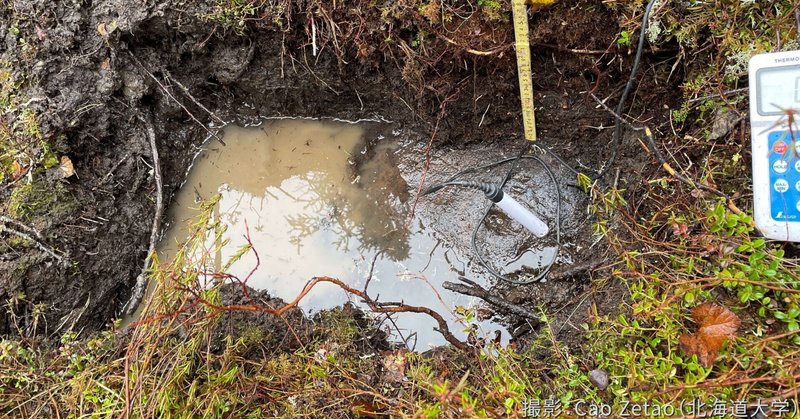 若手人材海外派遣プログラム2025⑥