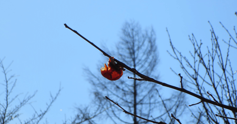 人を貶める人の特徴 ノブオ 心理カウンセラー note