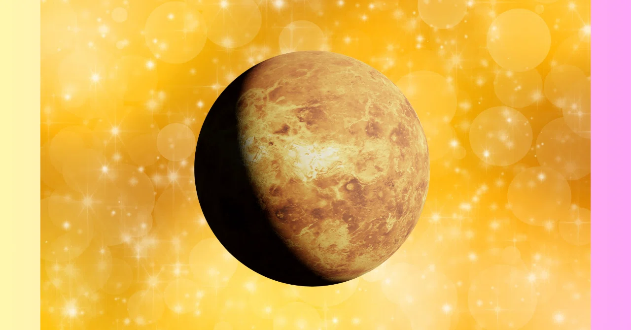 金星の時代：世界を「好き」で染め上げる、最も美しい10年間｜manoha